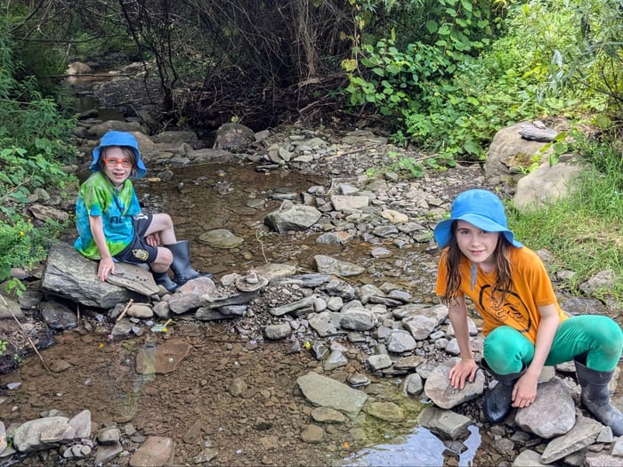 Tweens on a group hike in the woods
